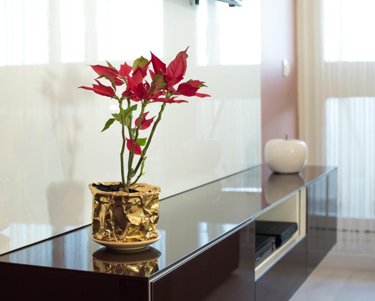 Apartment Amalfi Σπλιτ Εξωτερικό φωτογραφία